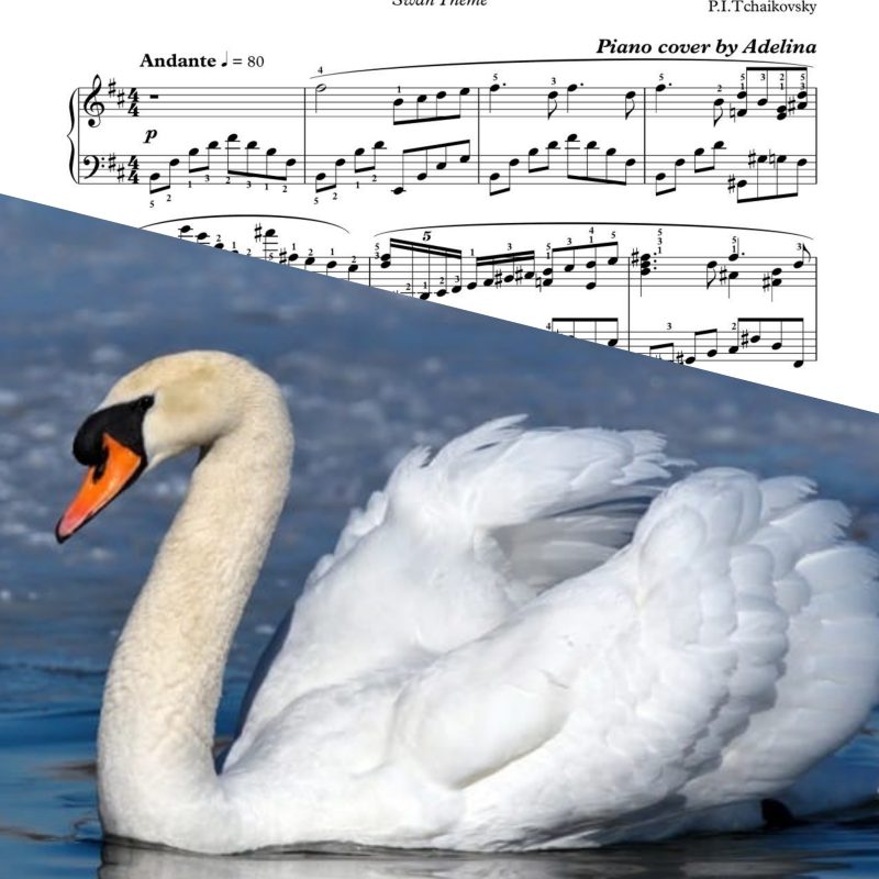 “Swan Lake” – P.I.Tchaikovsky – Piano Sheet Music