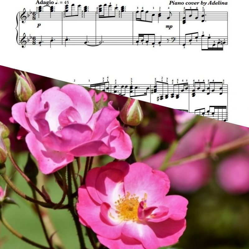 “Where the Wild Roses Grow” – Kylie Minogue & Nick Cave – Piano Sheet Music