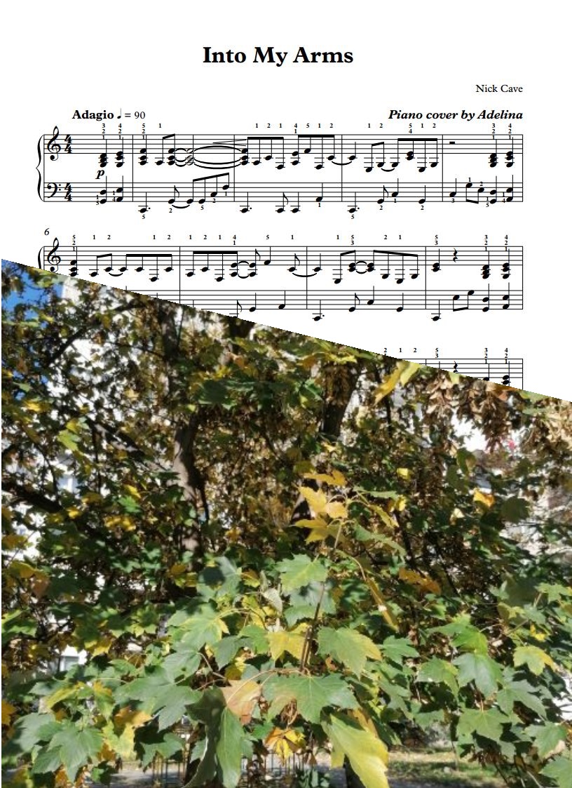Into My Arms Covers